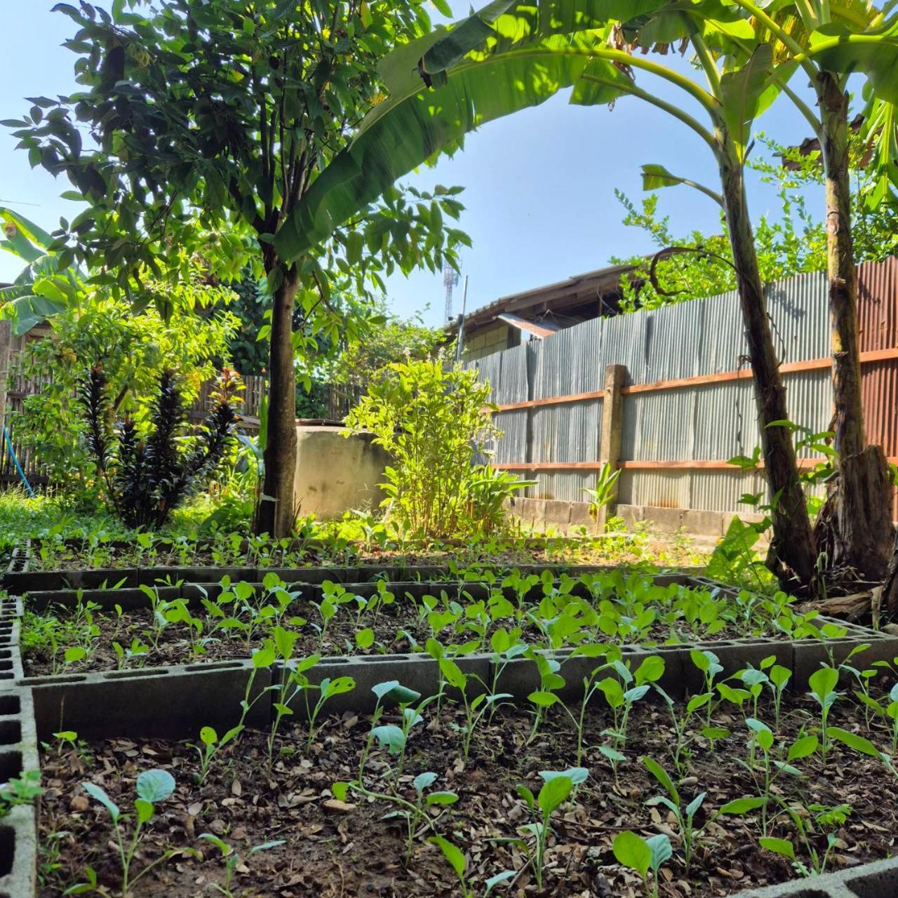 Kedthawa Homestay เฮือนเก็ดถะหวา Ban Cho Lae المظهر الخارجي الصورة